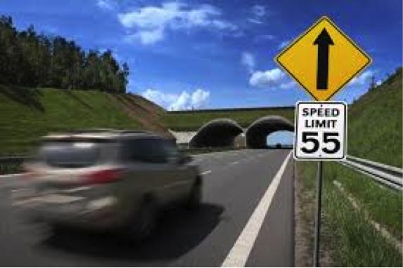 ComedyTrafficSchool.com Best Ways To Communicate With Other Drivers online traffic school